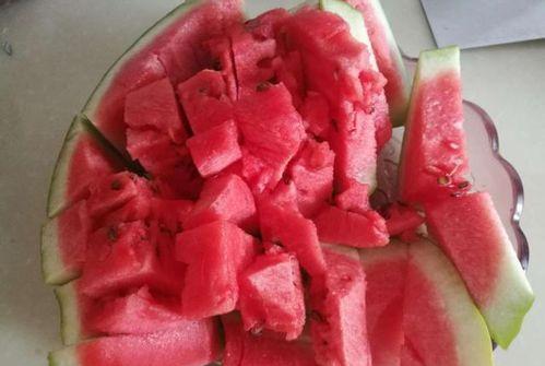 韩城黄河滩吃瓜某网红,揭秘黄河滩西瓜的独特魅力 第1张 韩城黄河滩吃瓜某网红,揭秘黄河滩西瓜的独特魅力 第1张