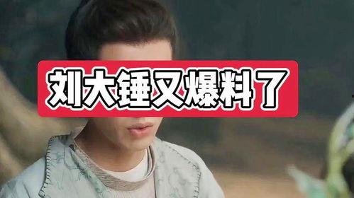 刘大锤娱乐爆料视频,揭秘娱乐圈幕后真相 第2张 刘大锤娱乐爆料视频,揭秘娱乐圈幕后真相 第2张